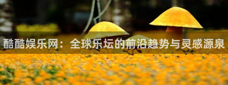 先锋娱乐公司