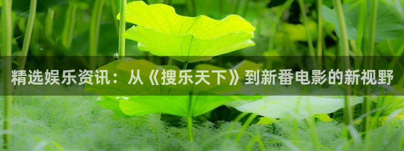 先锋娱乐公司