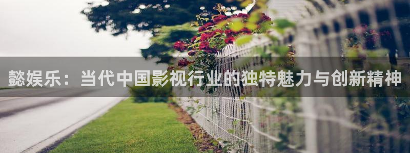 先锋娱乐公司