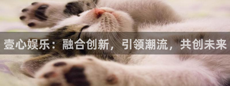 先锋娱乐平台