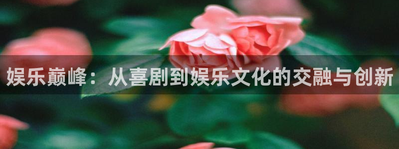 先锋娱乐平台