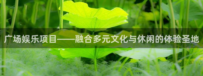 先锋娱乐公司