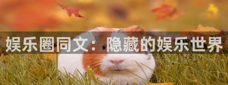 先锋娱乐公司