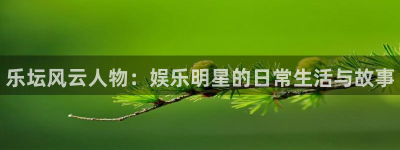 先锋娱乐公司